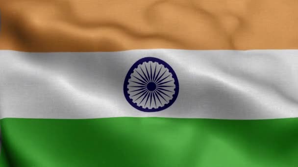 Hindistan Bayrağı Rüzgarda Dalgalanıyor — Stok video