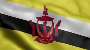 Brunei bayrağı rüzgarda dalgalanıyor.