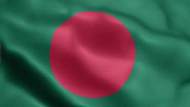 Σημαία Του Μπανγκλαντές Που Κυματίζει Στον Άνεμο — Αρχείο Βίντεο