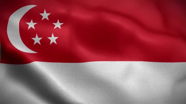 風になびくシンガポールの旗 — ストック動画