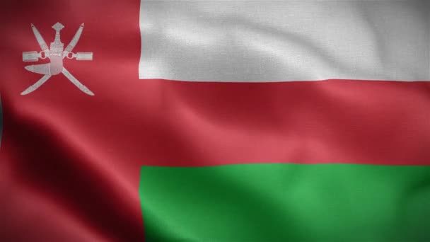 Omans Flagga Fladdrar Vinden — Stockvideo