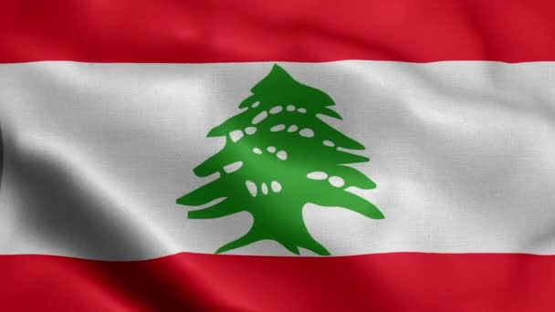 Bandera Del Líbano Ondeando Viento — Vídeo de stock