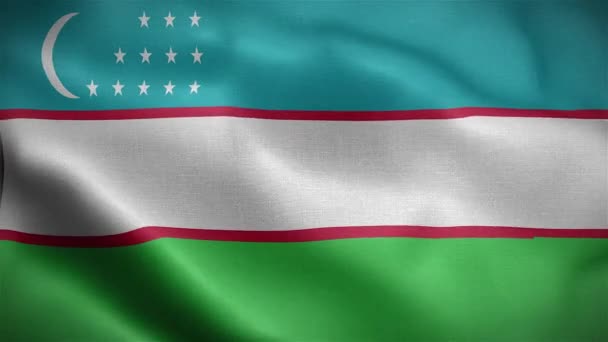 ウズベキスタンの国旗が風になびく アニメーション3D — ストック動画