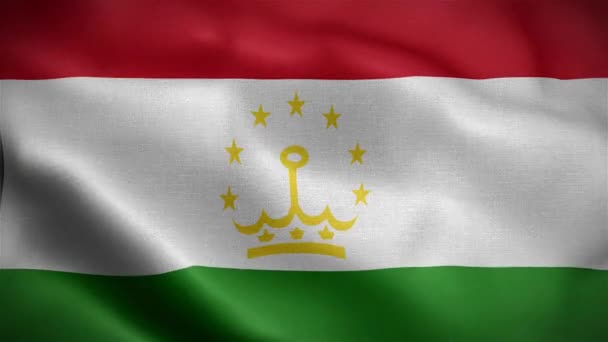 塔吉克斯坦的国旗在风中飘扬 动画3D — 图库视频影像