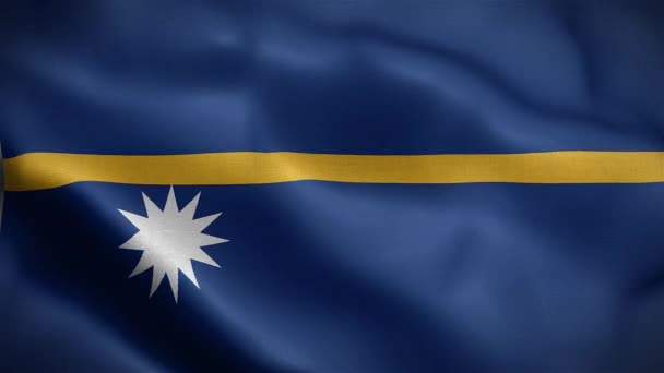 Rüzgarda Dalgalanan Nauru Bayrağı Canlandırma — Stok video