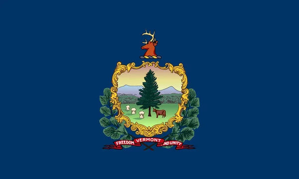 Flag State Vermont Belonging United States America — Stock Photo, Image