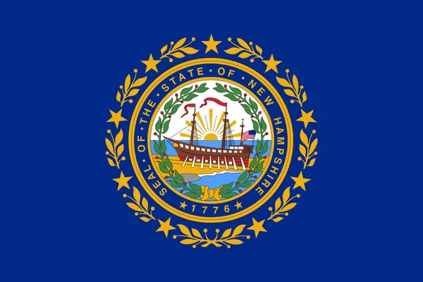 アメリカに属するニューハンプシャー州の旗 — ストック写真
