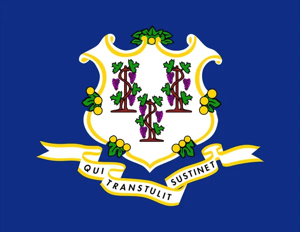 Flag State Connecticut Belonging United States America — Stock Photo, Image