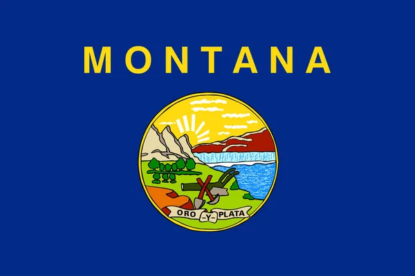 Прапор Штату Монтана Належить Сполучених Штатів Америки — стокове фото
