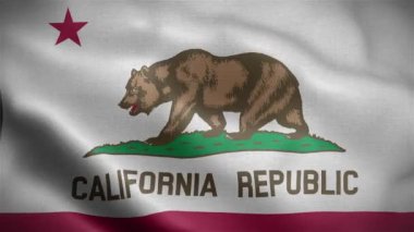 Amerika Birleşik Devletleri 'ne ait California eyaletinin bayrağı. Canlandırma 4K