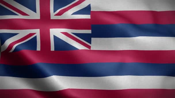 Bandera Del Estado Hawái Perteneciente Los Estados Unidos América Render — Vídeo de stock