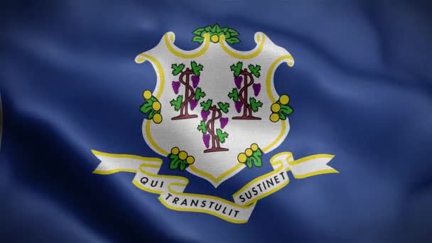 Amerika Birleşik Devletleri Ait Connecticut Eyaletinin Bayrağı Canlandırma — Stok video