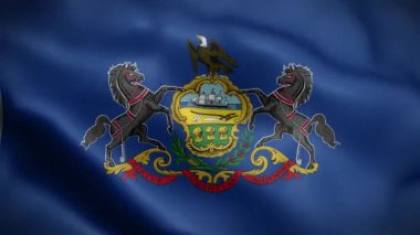 Pennsylvania eyaletinin bayrağı. Amerika Birleşik Devletleri