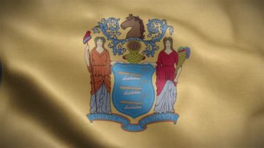 New Jersey eyaletinin bayrağı. Amerika Birleşik Devletleri