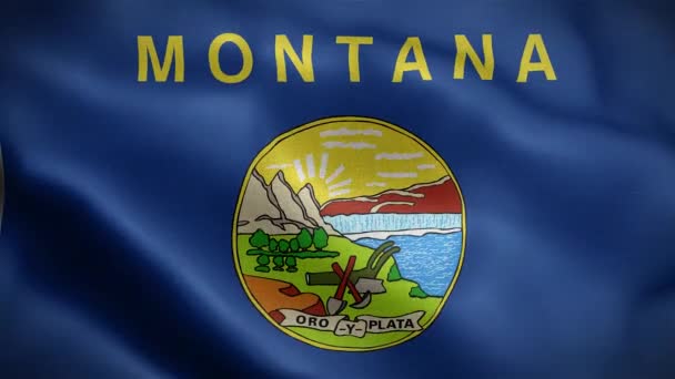 Drapeau État Montana États Unis Amérique — Video