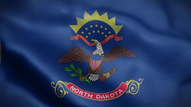 Flagge Des Bundesstaates North Dakota Vereinigte Staaten Von Amerika — Stockvideo