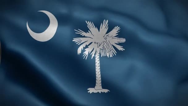 Bandiera Dello Stato Della Carolina Del Sud Stati Uniti America — Video Stock