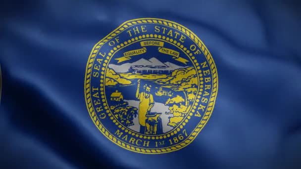 Bandeira Estado Nebraska Estados Unidos América — Vídeo de Stock