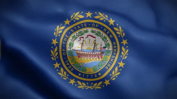 Vlag Van New Hampshire Verenigde Staten Van Amerika — Stockvideo