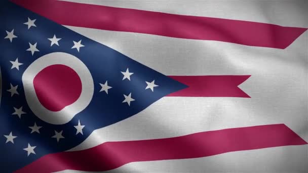 Flagge Des Bundesstaates Ohio Vereinigte Staaten Von Amerika — Stockvideo