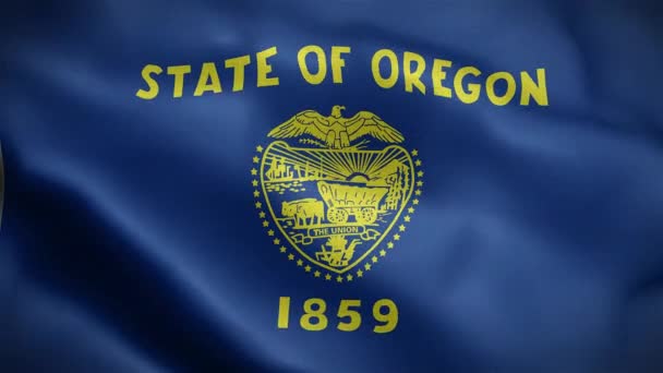 Flagge Des Staates Oregon Vereinigte Staaten Von Amerika — Stockvideo