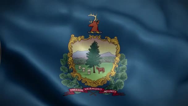 Flag State Vermont United States America — Stock Video