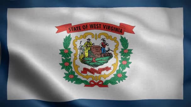 Batı Virginia Eyaletinin Bayrağı Amerika Birleşik Devletleri — Stok video