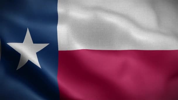 Vlajka Státu Texas Spojené Státy Americké — Stock video