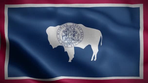 Bandera Del Estado Wyoming Estados Unidos América — Vídeo de stock