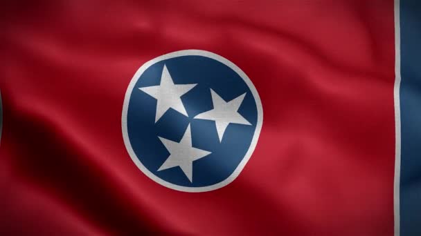 Bandera Del Estado Tennessee Estados Unidos América — Vídeos de Stock