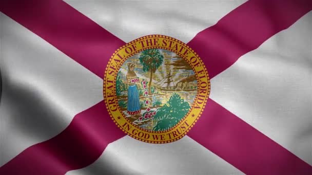 Flagga För Delstaten Florida Förenta Staterna — Stockvideo