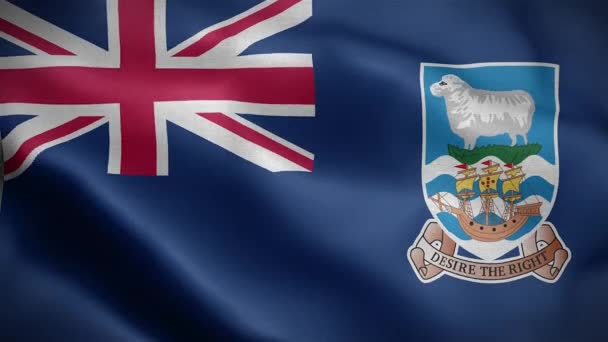 フォークランド諸島の国旗国 — ストック動画