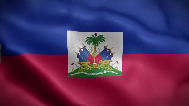 Прапор Країни Гаїті — стокове відео
