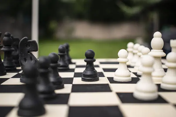 Kırsal satranç takımı, tahta tahtadan ve parçalar da geri dönüştürülmüş plastikten yapılmış. Satranç tahtası ilkbaharda ve yaz bahçesinde. Satranç oyunu