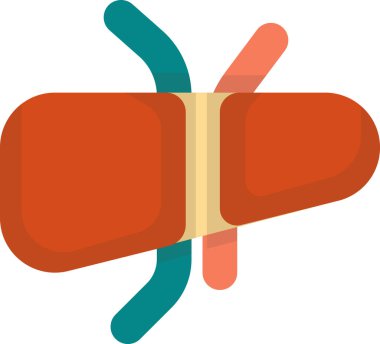 Karaciğer illüstrasyonu arka planda izole edilmiş