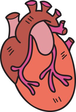 El çizimi gerçekçi kalp çizimi arka planda izole edildi