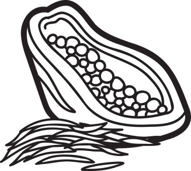 El çizimi papaya çizimi arka planda izole edildi