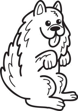 Hand Drawn Samoyed Dog begging owner illustration in doodle style isolated on background