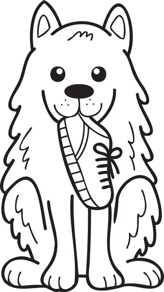 Hand Drawn Samoyed Dog Holding Shoes Illustration Doodle Style Isolated — Stock Vector