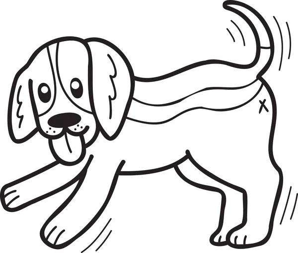 Hand Drawn Beagle Dog Walking Illustration Doodle Style Isolated Background — Stock Vector
