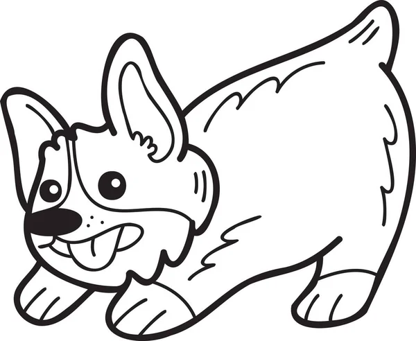 Hand Drawn Corgi Dog Playing Illustration Doodle Style Isolated Background — Stok Vektör