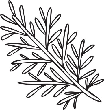 El çizimi biberiye yaprakları arkaplanda karalama stili izole