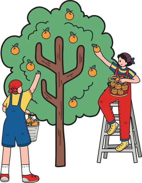 Los Agricultores Están Recogiendo Fruta Los Árboles Ilustración Estilo Garabato — Archivo Imágenes Vectoriales