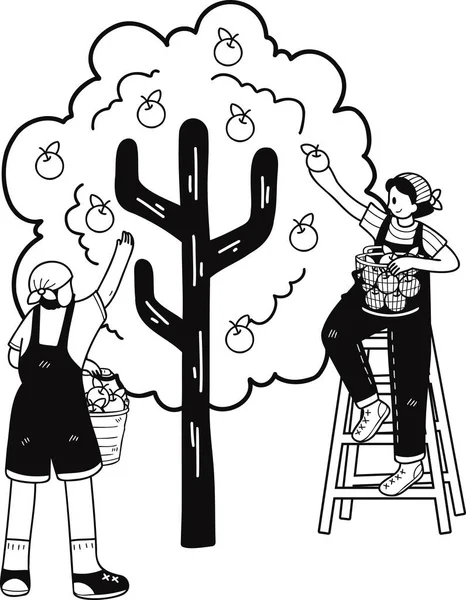 Αγρότες Μαζεύουν Φρούτα Από Δέντρα Εικονογράφηση Στυλ Doodle Απομονώνονται Στο — Διανυσματικό Αρχείο