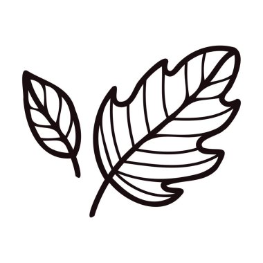 Elle çizilen yapraklar ve dallar arkaplanda izole edilmiş karalama tarzında üstten görünüm