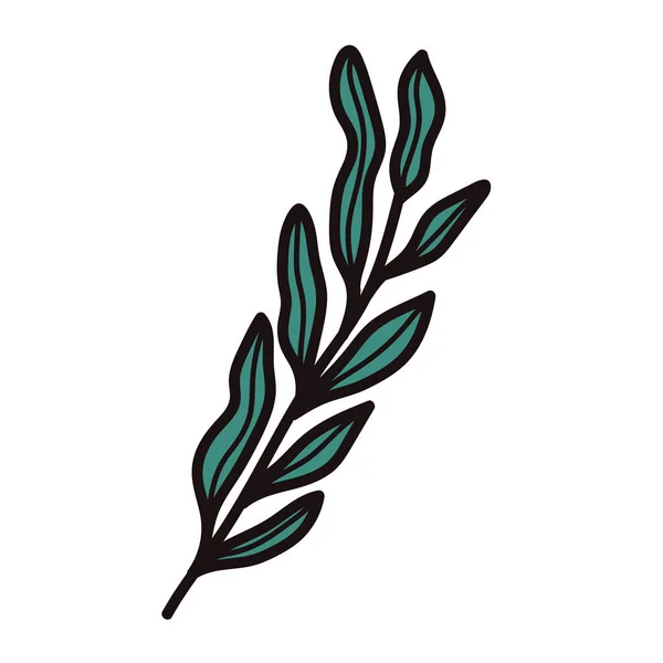 Ручной Рисунок Пальмовых Листьев Верхнего Вида Стиле Каракули Изолированы Заднем — стоковый вектор