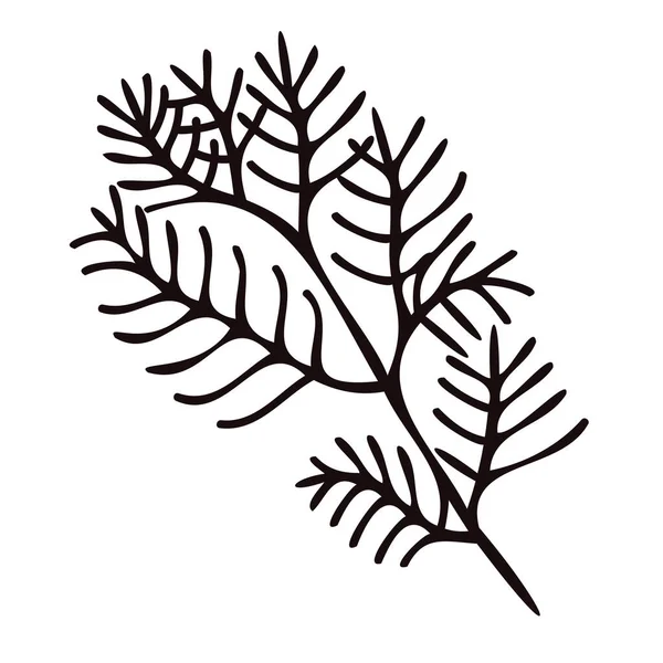 Ручной Рисунок Листьев Веток Верхнего Вида Стиле Каракули Изолированы Заднем — стоковый вектор