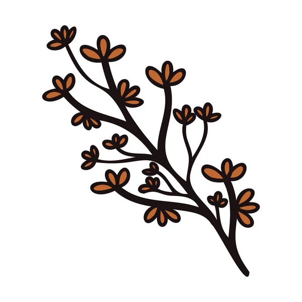 Handgezeichnete Blätter Und Zweige Aus Der Draufsicht Doodle Stil Isoliert — Stockvektor