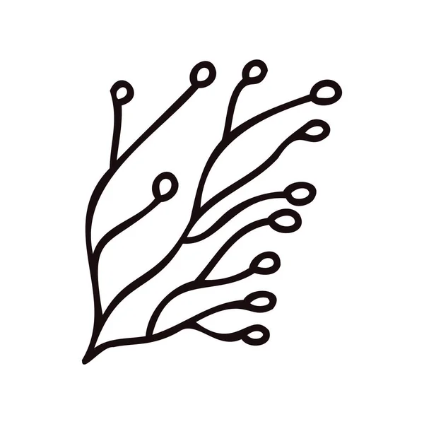 Χειροποίητα Φύλλα Και Κλαδιά Από Την Πάνω Όψη Στυλ Doodle — Διανυσματικό Αρχείο
