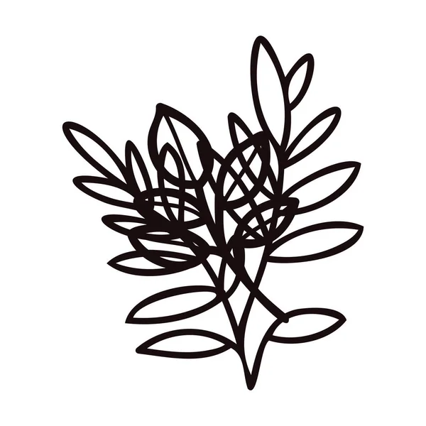 Handgezeichnete Blätter Und Zweige Aus Der Draufsicht Doodle Stil Isoliert — Stockvektor